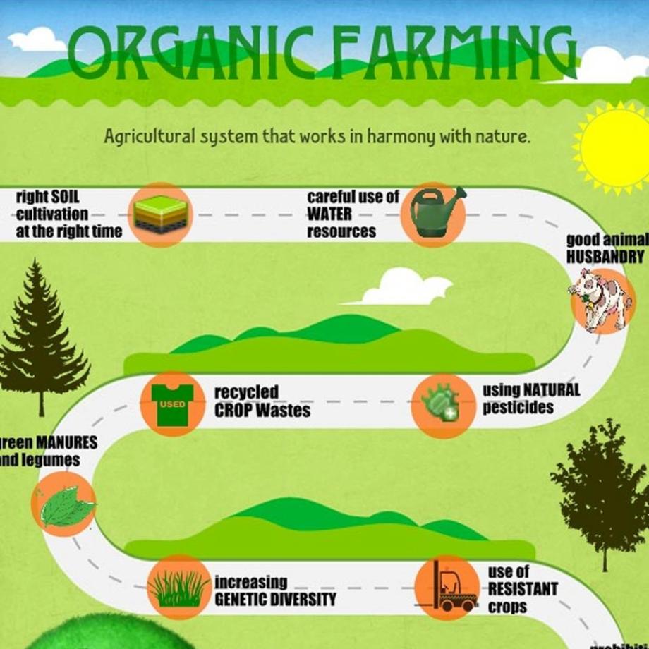 blog-Organic-farming