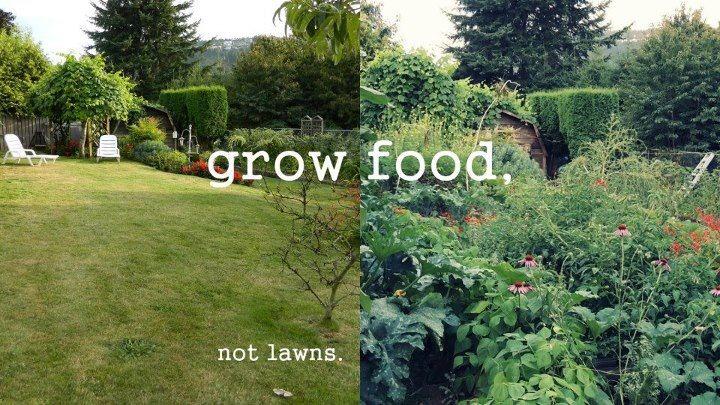 Grow-food-not-lawns